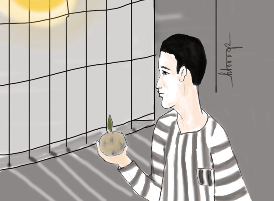 Minh họa: Huyền Trang Minh họa: Huyền Trang