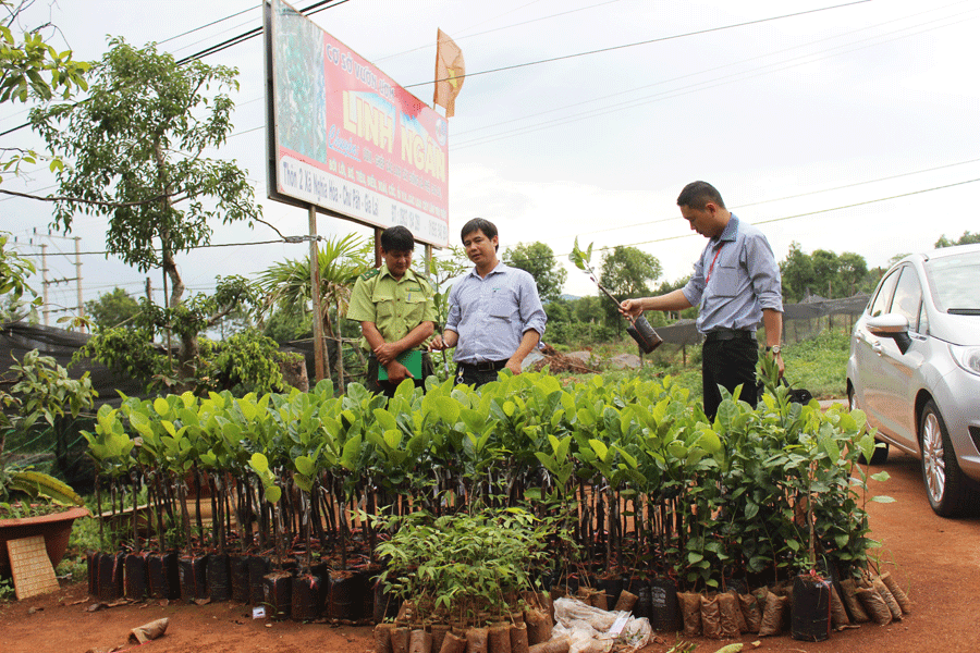 Kiểm tra hoạt động sản xuất, kinh doanh giống cây trồng. Ảnh: N.D Kiểm tra hoạt động sản xuất, kinh doanh giống cây trồng. Ảnh: N.D