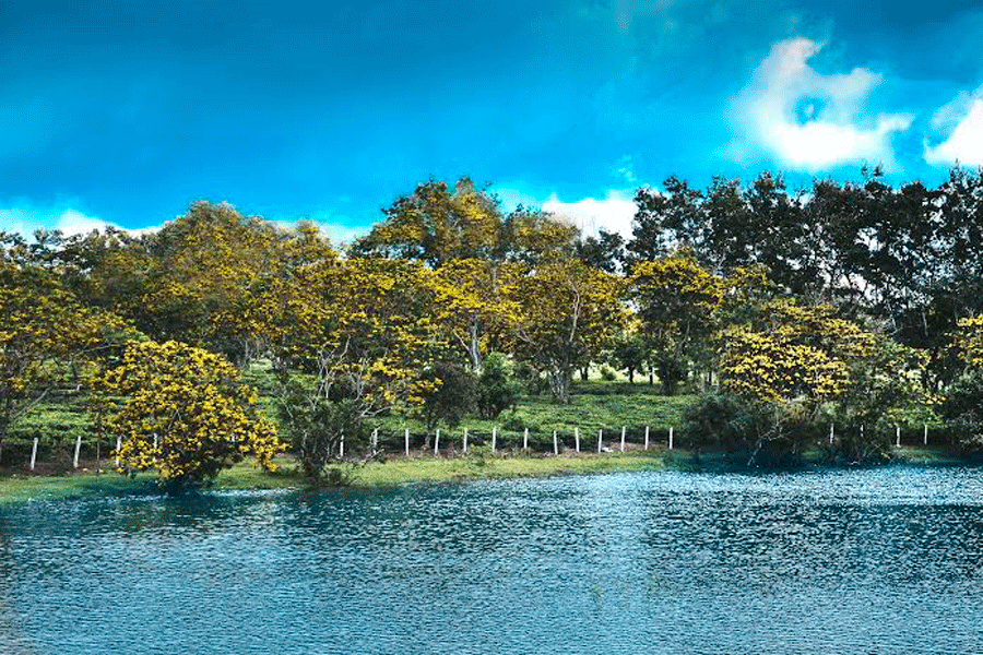 Một góc Tây Hồ. Ảnh: Lữ Hồng