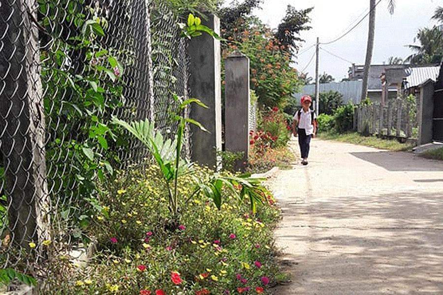 Mô hình “Con đường hoa” ở xã Phú An. Ảnh: N.S
