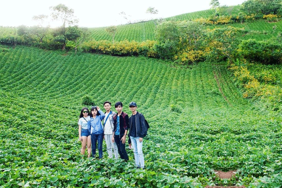 Khung cảnh thiên nhiên thơ mộng tại núi lửa Chư Đăng Ya luôn hấp dẫn du khách. Ảnh: H.T