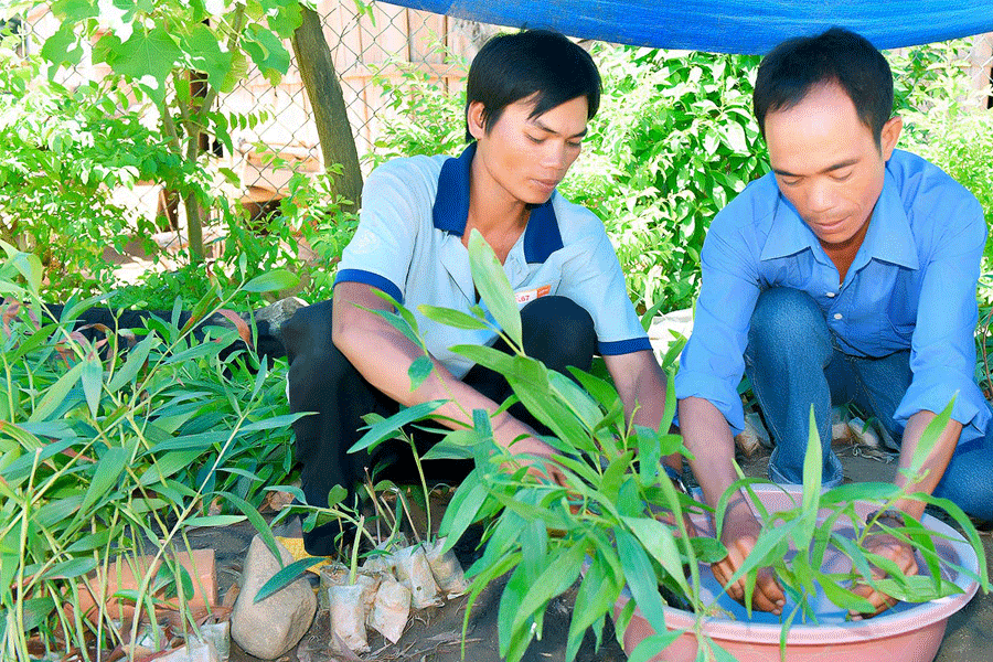 Nhiều nông dân ở Kbang đang thi đua sản xuất kinh doanh để vươn lên làm giàu. Ảnh: Đức Thụy Nhiều nông dân ở Kbang đang thi đua sản xuất kinh doanh để vươn lên làm giàu. Ảnh: Đức Thụy