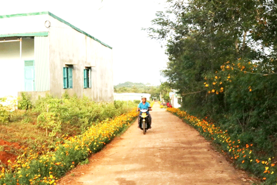 Không chỉ đóng tiền, hiến đất, người dân trong tổ còn trồng hoa 2 bên đường để tạo cảnh quan sạch đẹp. Ảnh: H.T