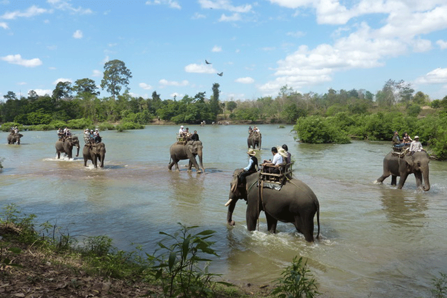 Cưỡi voi trên sông Sêrêpôk. Ảnh: K.N.B