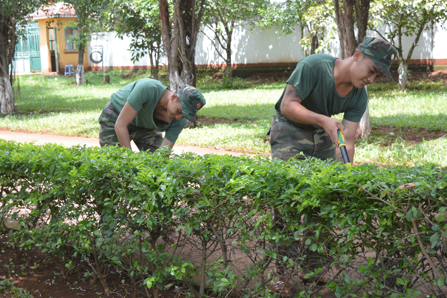 Cán bộ, chiến sĩ Tiểu đoàn Huấn luyện-Cơ động chăm sóc cảnh quan môi trường. Ảnh: A.H