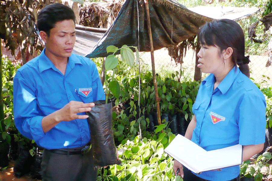 Đoàn viên thanh niên chuyển giao kỹ thuật trồng tiêu. Ảnh: H.Đ.T