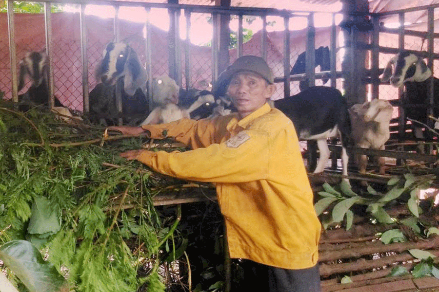 Ông Lê Ngọc Dũng bên trang trại chăn nuôi dê nhốt chuồng của gia đình. Ảnh: H.H