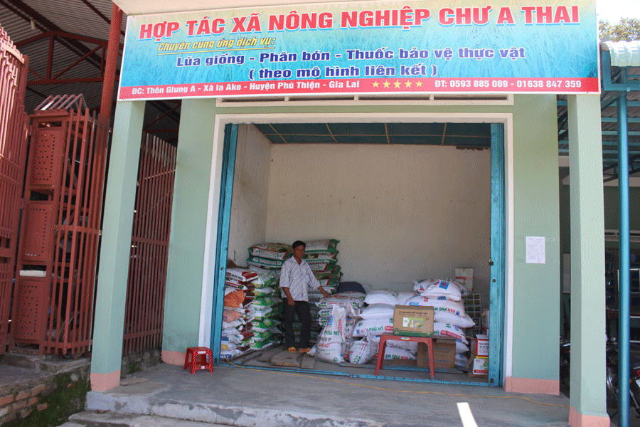 Điểm kinh doanh dịch vụ nông nghiệp của HTX Nông nghiệp Chư A Thai. Ảnh: N.D