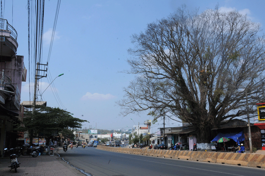 Trên một con đường chính ở phía Đông thành phố. Ảnh: N.H.T