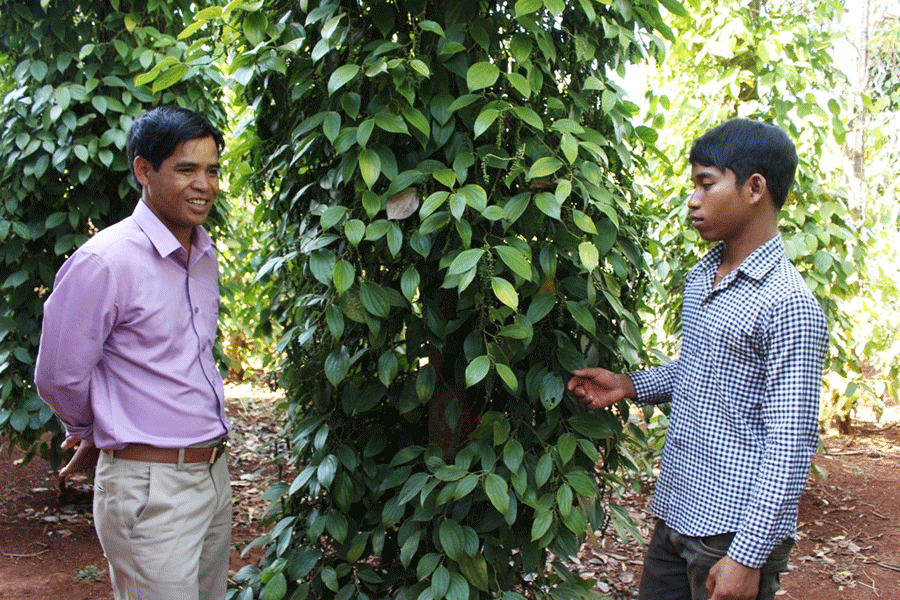 Đinh Krinh (bên phải) là tấm gương thanh niên tiêu biểu của làng Rơ Khương. Ảnh: T.B Đinh Krinh (bên phải) là tấm gương thanh niên tiêu biểu của làng Rơ Khương. Ảnh: T.B