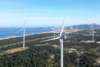 Một dự án điện gió ở tỉnh Gia Lai. Ảnh: Tiến sỹ