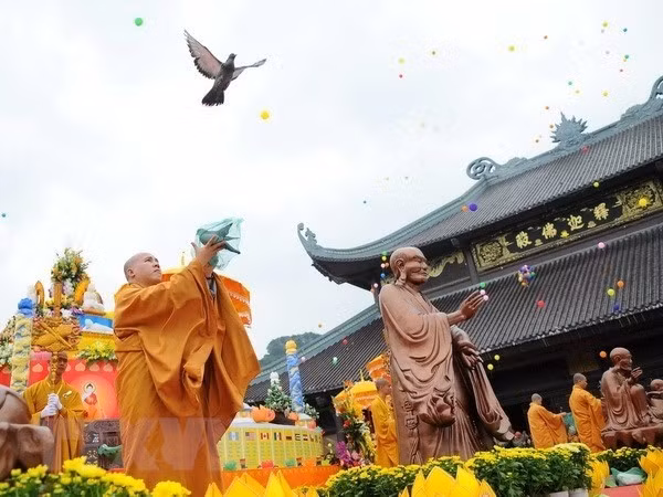 Ảnh minh họa: TTXVN