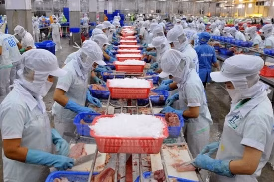 Ngành thủy sản đang có đóng góp rất lớn trong tăng trưởng kinh tế đất nước. Ảnh minh họa