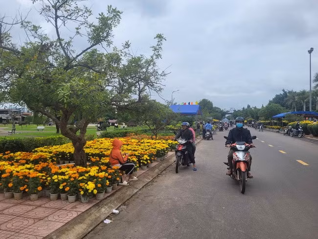 Đường hoa trung tâm công viên thị trấn Ngô Mây. Ảnh: N.H.S