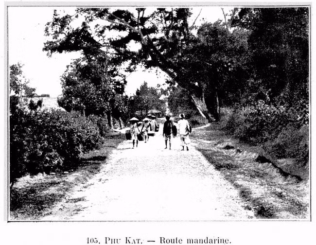 Quan lộ đoạn đi qua huyện Phù Cát, ảnh chụp khoảng đầu thế kỷ XX. Ảnh: Tư liệu của P.T.N.