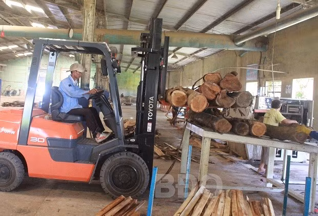 Hoạt động sản xuất của Công ty TNHH Khương Đài.