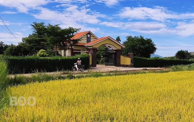 Từ đường họ Đào ở thôn Vinh Thạnh 2.