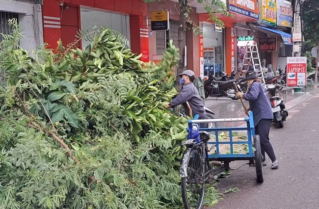Công nhân quét dọn tán cây, lá cây trên tuyến đường Phan Bội Châu, TP Quy Nhơn.