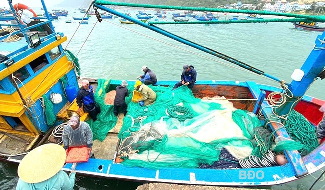 Các tàu cá phải hoạt động đúng nghề, đúng vùng đã được cấp phép. Ảnh: N.N Các tàu cá phải hoạt động đúng nghề, đúng vùng đã được cấp phép. Ảnh: N.N