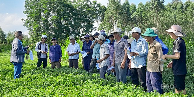 Các hộ của mô hình tham gia tập huấn kỹ thuật trồng đậu phụng. Ảnh: M.MIÊN