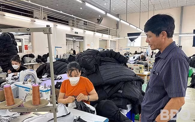 Đoàn kiểm tra liên ngành của tỉnh kiểm tra tại Công ty TNHH Hoàng Vinh. Ảnh: N.M