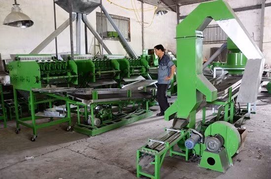 Hệ thống máy cắt tách hạt điều tự động mới cải tiến của cơ sở Vũ Thạnh. Ảnh: HOÀNG LÂN