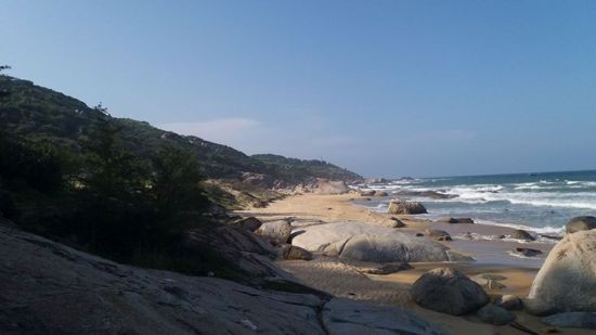 Bãi Sau (thôn Tân Phụng, Mỹ Thọ, Phù Mỹ). Bãi Sau (thôn Tân Phụng, Mỹ Thọ, Phù Mỹ).