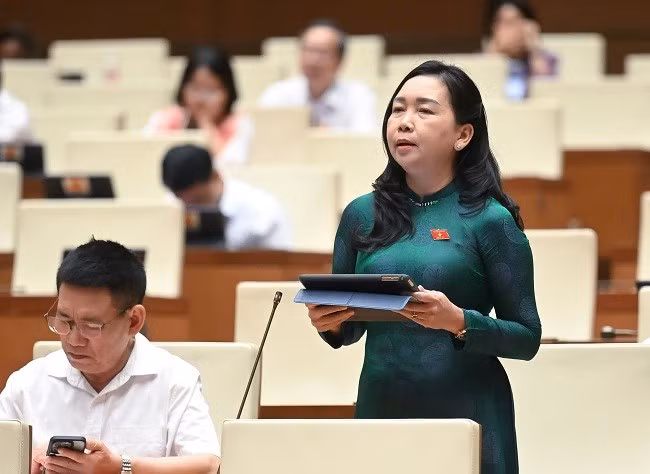 ĐB Lý Tiết Hạnh đề nghị cần có chính sách hỗ trợ phù hợp để khu vực kinh tế tư nhân lớn mạnh, đóng góp lớn vào nền kinh tế của đất nước trong thời gian đến. Ảnh: Đoàn ĐBQH tỉnh