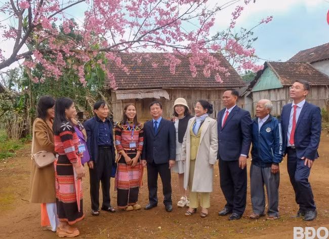 Lãnh đạo tỉnh và đại biểu tham quan các tuyến đường hoa đào. Ảnh: NGỌC NHUẬN