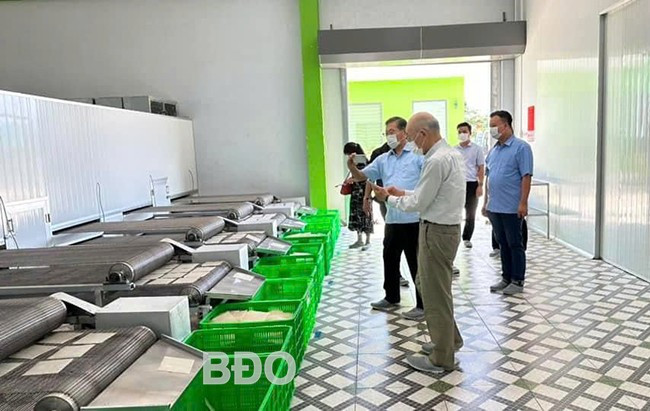 Nhờ sự hỗ trợ trang thiết bị máy móc của Sở Công Thương, Công ty IPP Sachi đã đáp ứng yêu cầu khắt khe để xuất khẩu sang các nước. - Trong ảnh: Đoàn DN Nhật Bản tham quan nhà máy của Công ty IPP Sachi. Ảnh: HẢI YẾN