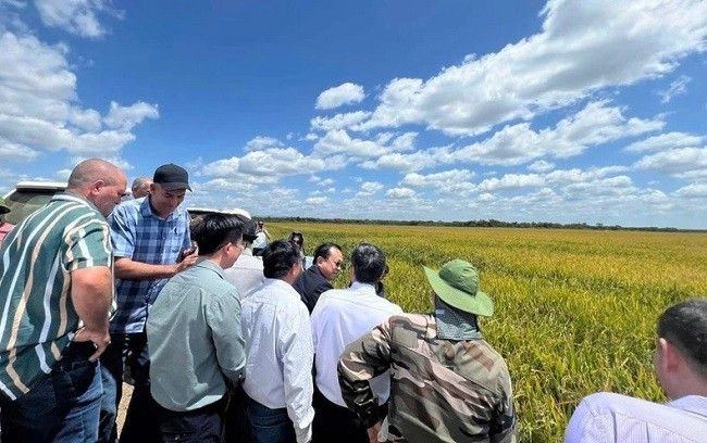 Đoàn công tác của Chính phủ Việt Nam bàn giao 11.500 tấn gạo cho Cuba tại cảng Mariel. (Nguồn: Đại sứ quán Việt Nam tại Cuba)