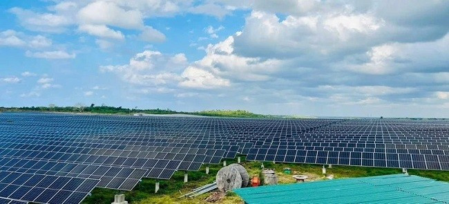 Đoàn thăm Dự án trồng lúa công nghệ cao tại huyện Los Palacios, tỉnh Pinar del Río, Cuba. (Nguồn: Đại sứ quán Việt Nam tại Cuba)