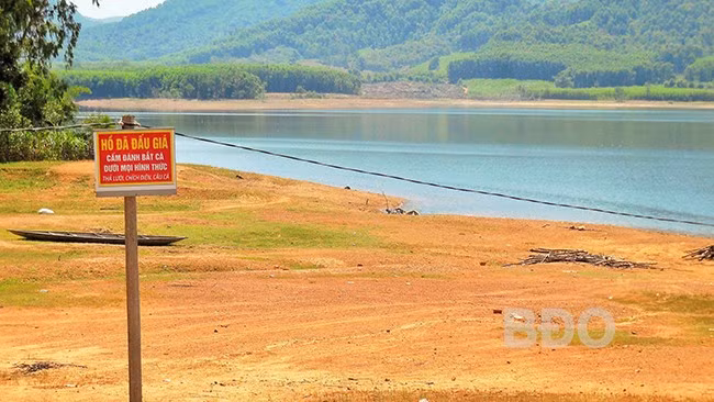 Cá nhân thuê mặt thoáng hồ chứa nước Diêm Tiêu (thị trấn Phù Mỹ, huyện Phù Mỹ) dựng bảng “thông báo” cảnh báo người đánh bắt cá. Ảnh: V.LỰC Cá nhân thuê mặt thoáng hồ chứa nước Diêm Tiêu (thị trấn Phù Mỹ, huyện Phù Mỹ) dựng bảng “thông báo” cảnh báo người đánh bắt cá. Ảnh: V.LỰC
