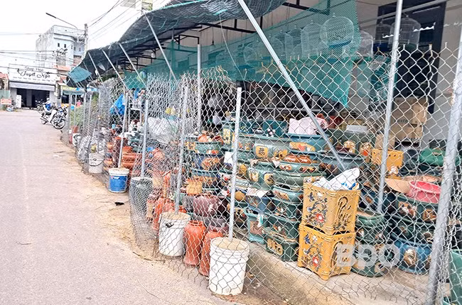 Một hộ kinh doanh cây cảnh và chậu kiểng ở thôn Kim Tây (xã Phước Hòa, huyện Tuy Phước) lấn chiếm cả vỉa hè và lề đường, gây mất ATGT. Ảnh: VĂN LƯU