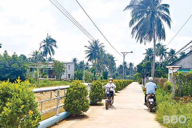 Tuyến đường trồng cây hồng lộc dọc kênh Lại Giang ở địa bàn phường Hoài Tân (TX Hoài Nhơn). Ảnh: H.THU