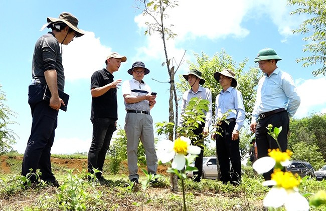 Các chuyên gia Nhật Bản trao đổi với lãnh đạo huyện Vĩnh Thạnh về hoa anh đào. Ảnh: XUÂN DŨNG