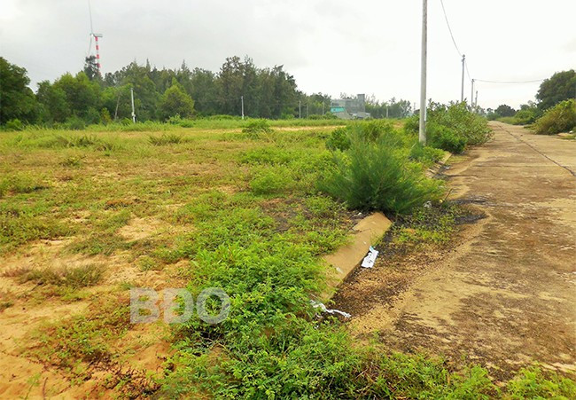 Cây bụi, cỏ dại mọc um tùm tại Khu di dãn dân Huỳnh Giản. Ảnh: C.L Cây bụi, cỏ dại mọc um tùm tại Khu di dãn dân Huỳnh Giản. Ảnh: C.L