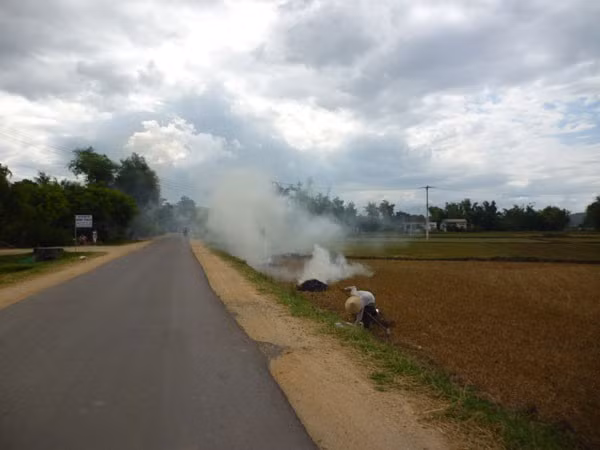 Làn khói rơm dọc đường.