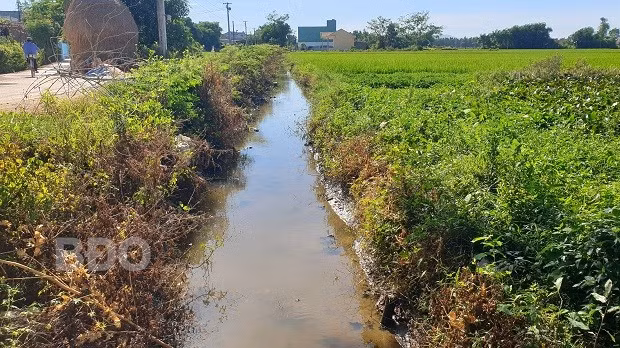Tuyến kênh mương S8 chưa được kiên cố hóa nên chưa phát huy hiệu quả.