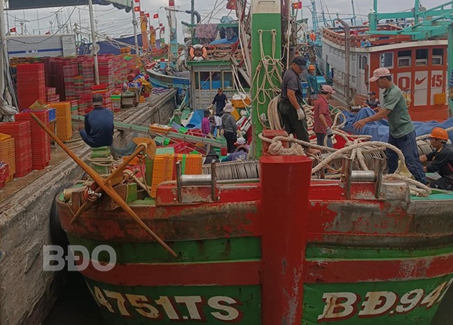 Ngư dân đưa cá lên cảng. Ảnh: H.N.HIỀN Ngư dân đưa cá lên cảng. Ảnh: H.N.HIỀN