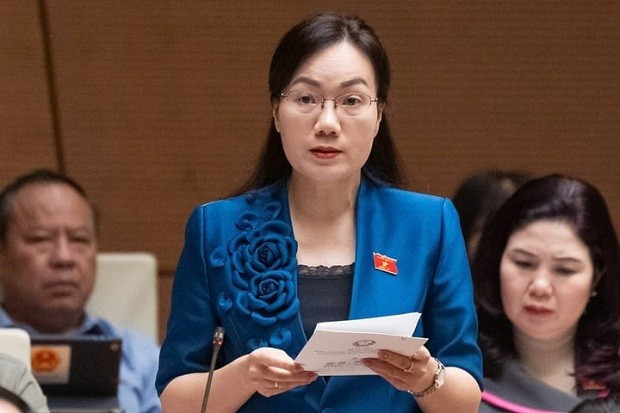 Đại biểu Quốc hội Đỗ Thị Việt Hà.