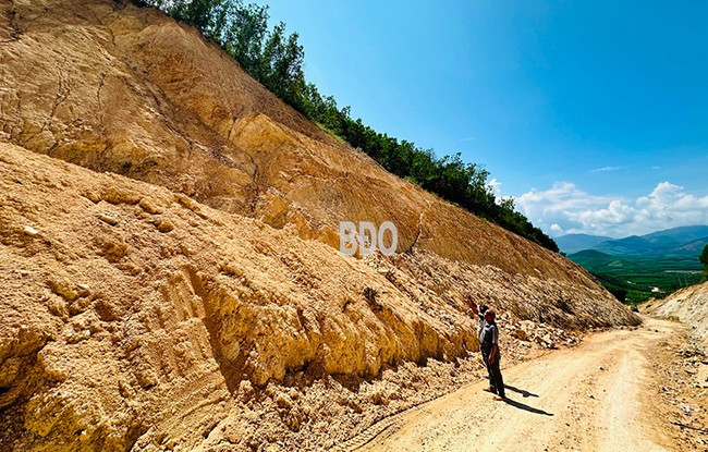 Các hộ dân chỉ diện tích keo trồng không thể lên khai thác, vì chênh độ cao rất lớn, không mở được đường vận chuyển mới. Ảnh: D.Đ Các hộ dân chỉ diện tích keo trồng không thể lên khai thác, vì chênh độ cao rất lớn, không mở được đường vận chuyển mới. Ảnh: D.Đ