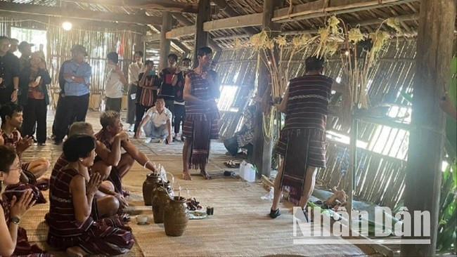 Lễ hội Sayangva (cúng Thần Lúa) của người Chơ Ro ở Đồng Nai. Lễ hội Sayangva (cúng Thần Lúa) của người Chơ Ro ở Đồng Nai.