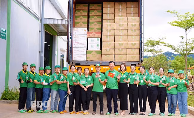 Nhân viên Công ty CP IPP Sachi vui mừng trước lô hàng xuất khẩu trực tiếp sang Mỹ. Ảnh: HẢI YẾN Nhân viên Công ty CP IPP Sachi vui mừng trước lô hàng xuất khẩu trực tiếp sang Mỹ. Ảnh: HẢI YẾN