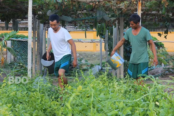 Trung đoàn Bộ binh 739 luôn chú trọng công tác hậu cần, tăng gia sản xuất, nhằm nâng cao đời sống cán bộ, chiến sĩ. Trung đoàn Bộ binh 739 luôn chú trọng công tác hậu cần, tăng gia sản xuất, nhằm nâng cao đời sống cán bộ, chiến sĩ.