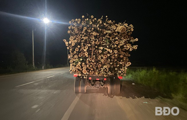 Một xe máy cày tự chế kéo rơ-moóc chở keo trên QL 19 qua địa bàn huyện Tây Sơn. Ảnh: N.C