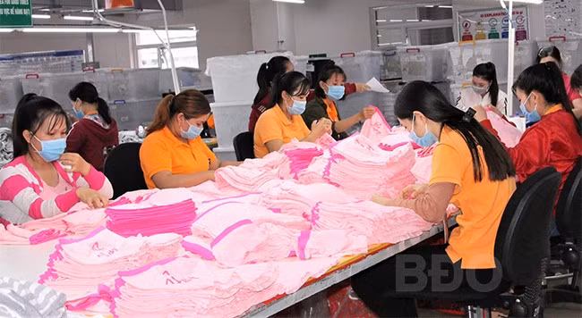 Các DN ngành may mặc, thủy sản, gỗ… có nhu cầu tuyển dụng lao động những tháng cuối năm 2021 và đầu năm 2022. Ảnh: NGUYỄN MUỘI