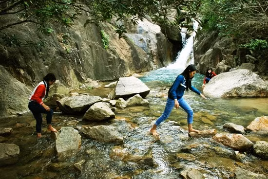 Những dòng suối từ các ngọn thác Suối Mơ chảy về