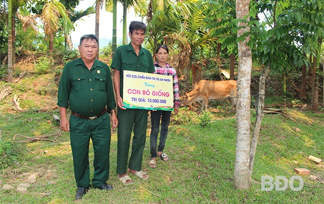 Hội CCB TX An Nhơn tặng bò giống cho hội viên CCB nghèo ở huyện An Lão. Ảnh: H.P