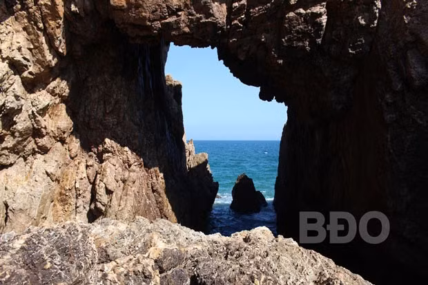 Mũi Vi Rồng là một mỏm đá nhô ra, đá đan bện vào nhau, kéo dài dọc bãi biển như một rào chắn bão, bảo vệ bình yên cho làng chài. Mũi Vi Rồng là một mỏm đá nhô ra, đá đan bện vào nhau, kéo dài dọc bãi biển như một rào chắn bão, bảo vệ bình yên cho làng chài.